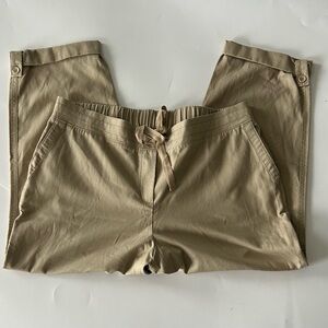 Talbots Plus Women's Tan Straight Leg Pant Size 14W NWT
